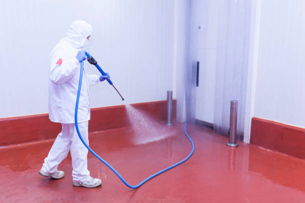 Best Restaurant Pressure Washing  in Bovina, TX